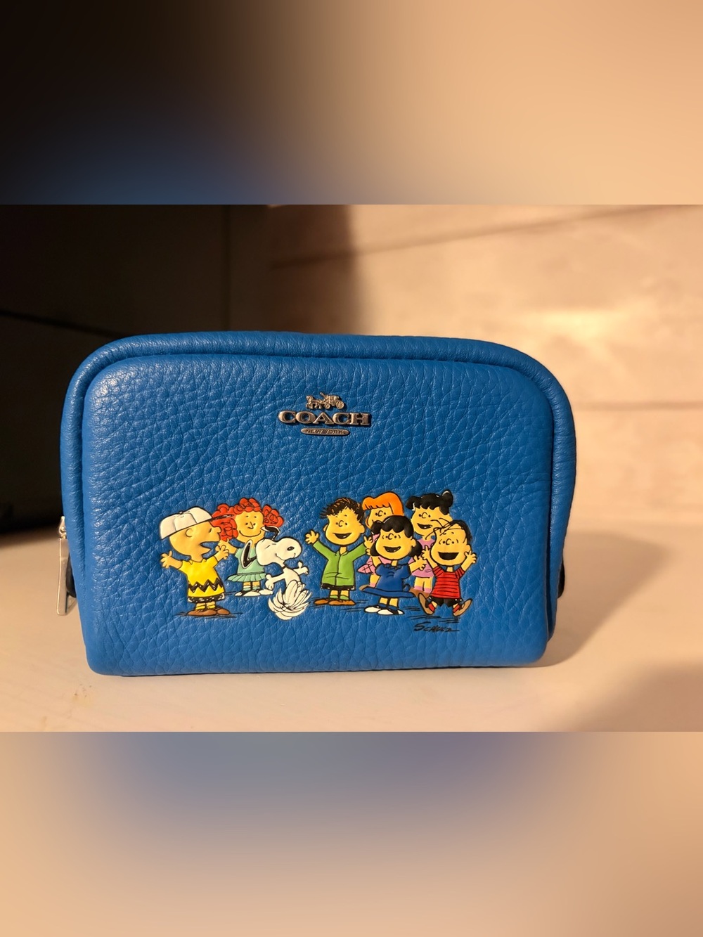 6447 Coach limited edition mini pouch